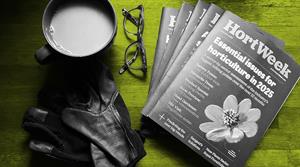 Cup of tea, gardening gloves and copies of HortWeek